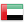 Dubai bayrağı